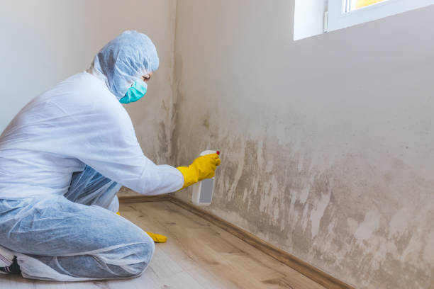 Mold Remediation specialist working in Wingate